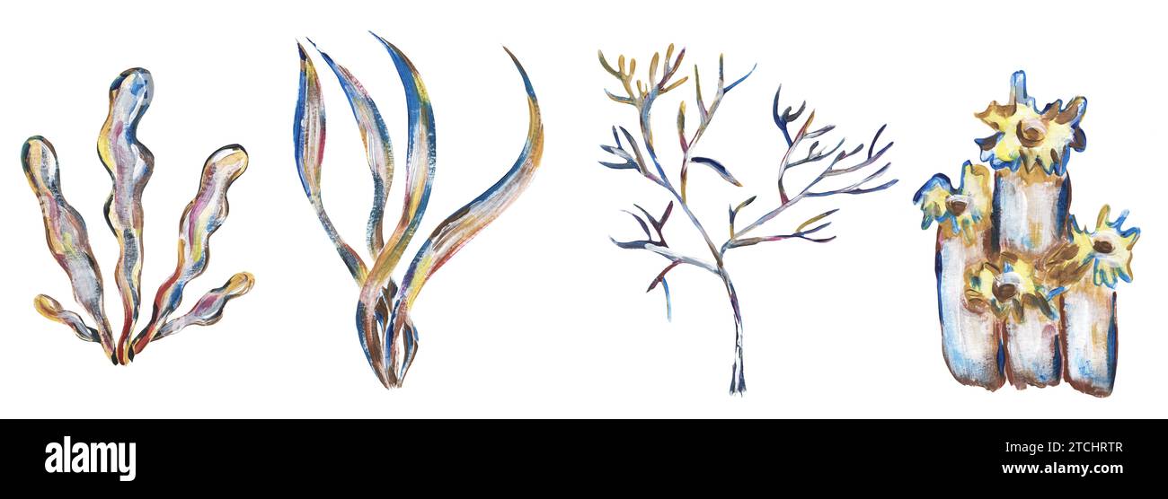 Acrylic hand painted corals illustration set, golden graphic liner ...