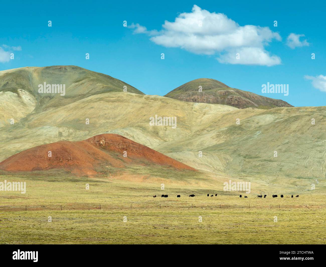 Mountains and pasture landscape highlands of tibet china stock photo
