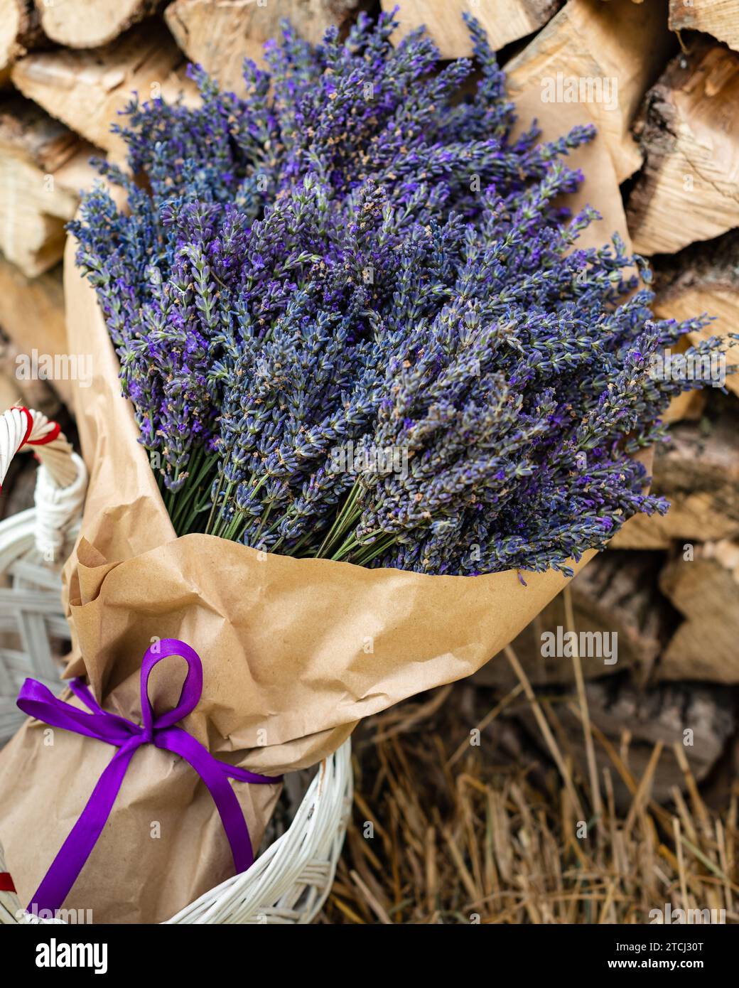 A lush and large bouquet of lavender wrapped in brown paper on a background of firewood Stock Photo