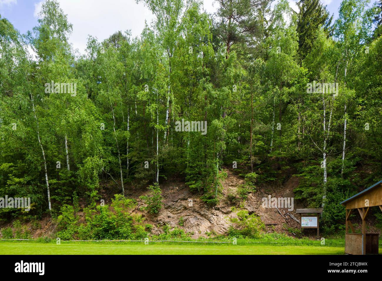 The Tharandt Forest, formerly known as the Grillenburg Forest, is a