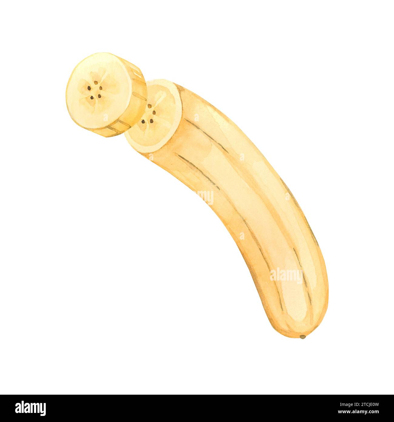A ripe banana without peel, a piece of banana, a circle of fruit. All elements are hand-painted in watercolor. For printing on fabric and paper Stock Photo