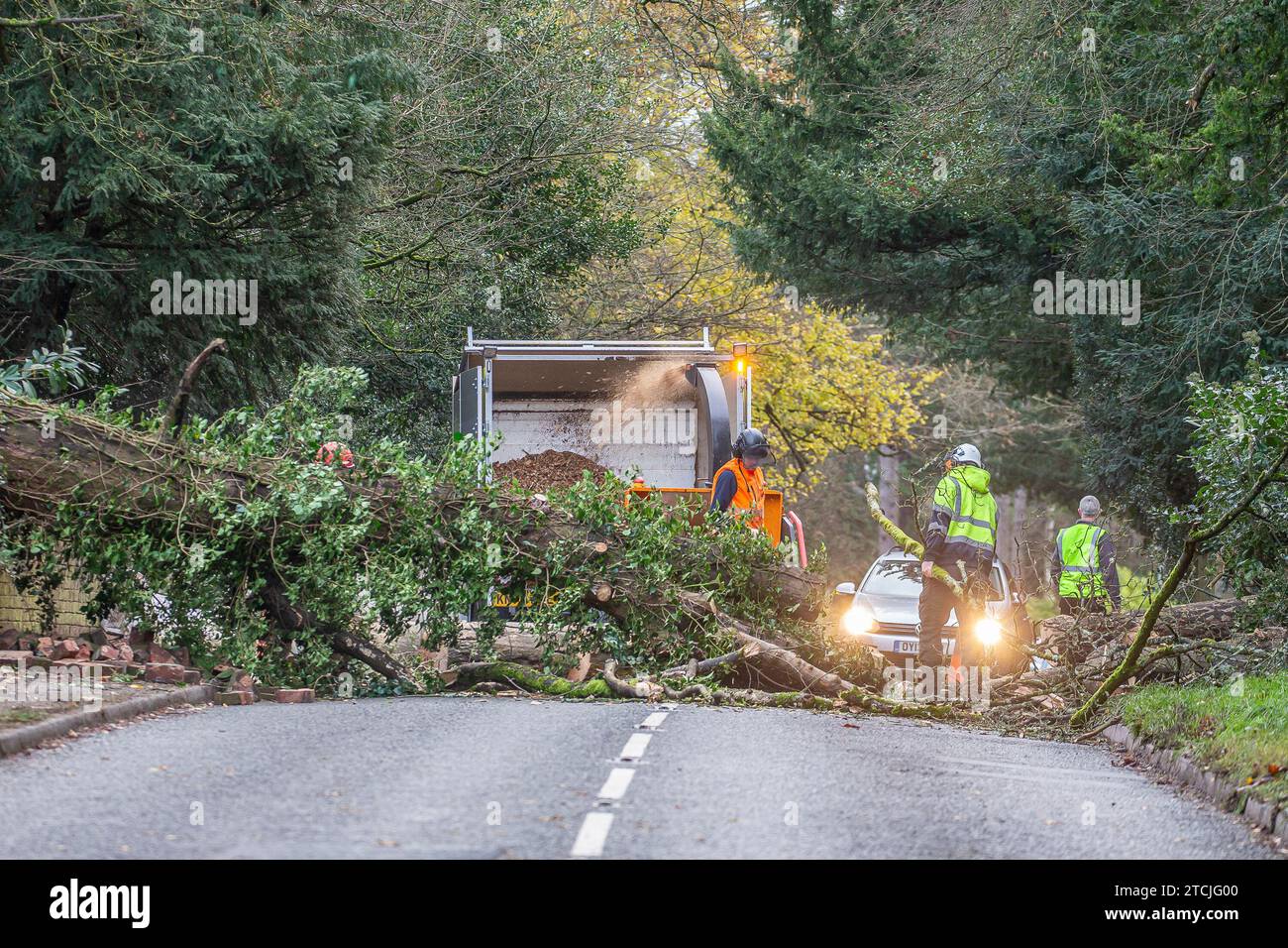 Kidderminster, UK.13th December, 2023. UK weather a tree surgeon team