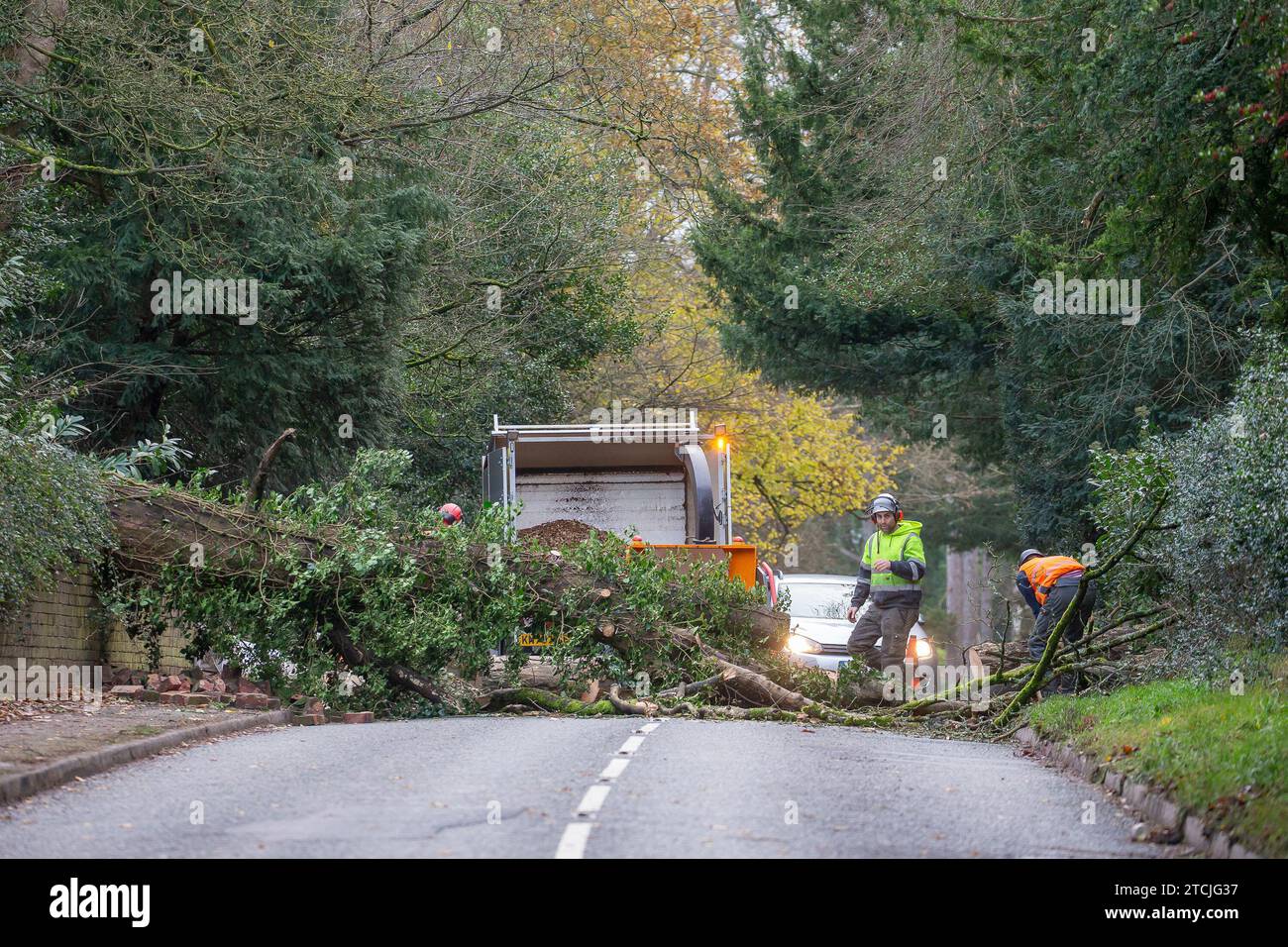 Kidderminster, UK.13th December, 2023. UK weather a tree surgeon team
