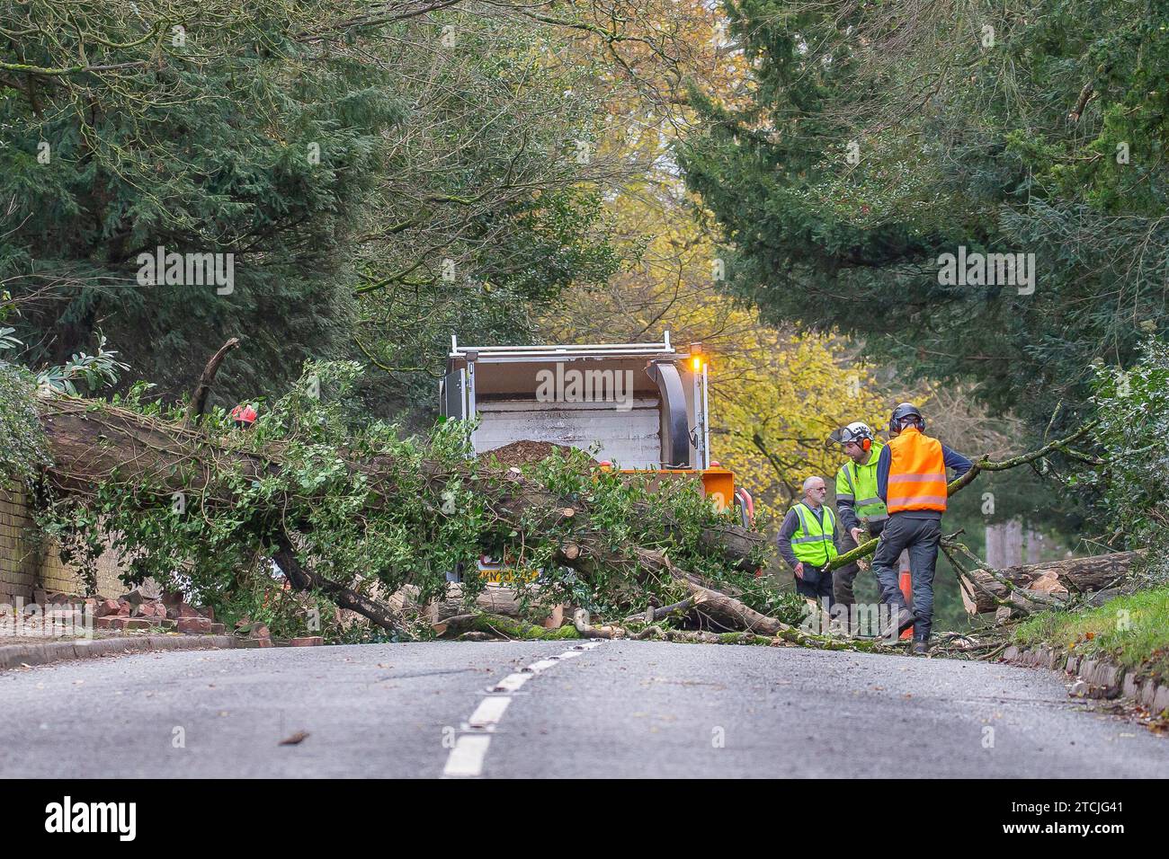 Kidderminster, UK.13th December, 2023. UK weather a tree surgeon team