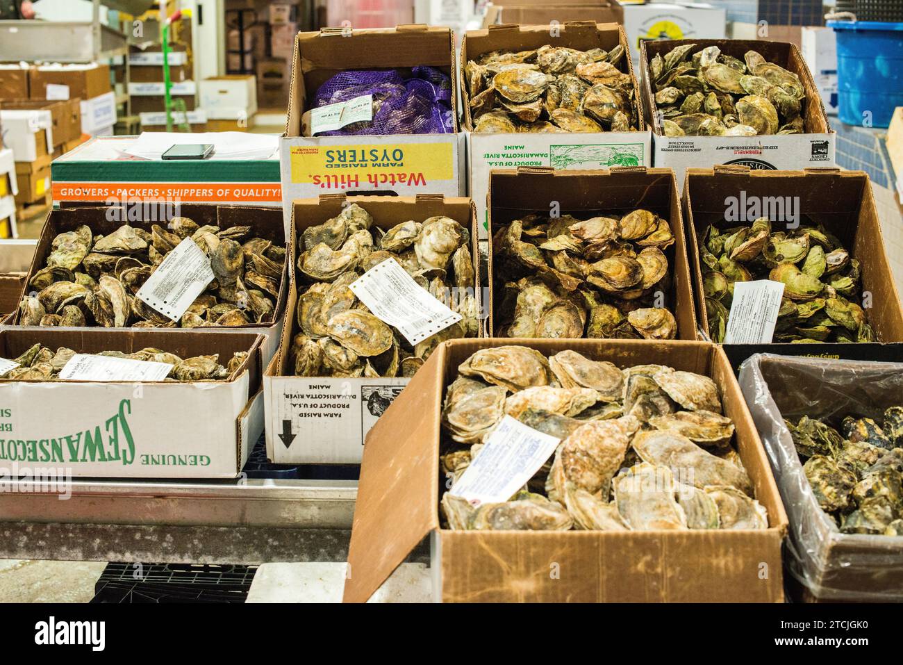 New York City, USA. Boxes of oisters and other seafood at the New