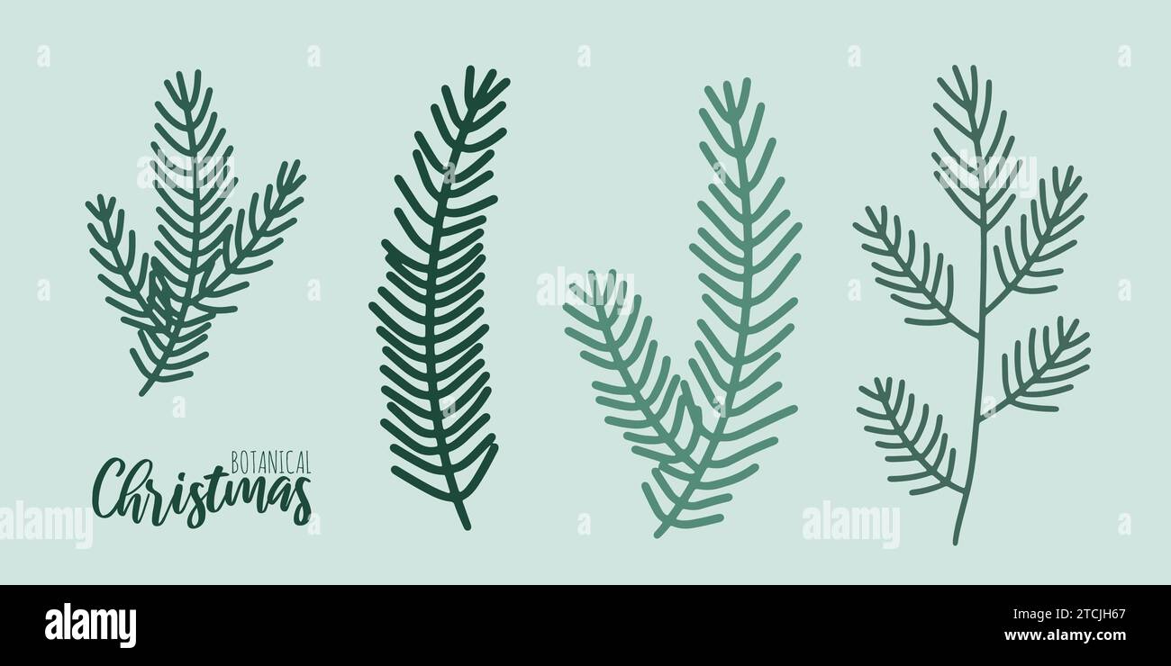 Set of hand drawn xmas branches vector winter floral element. Christmas ...