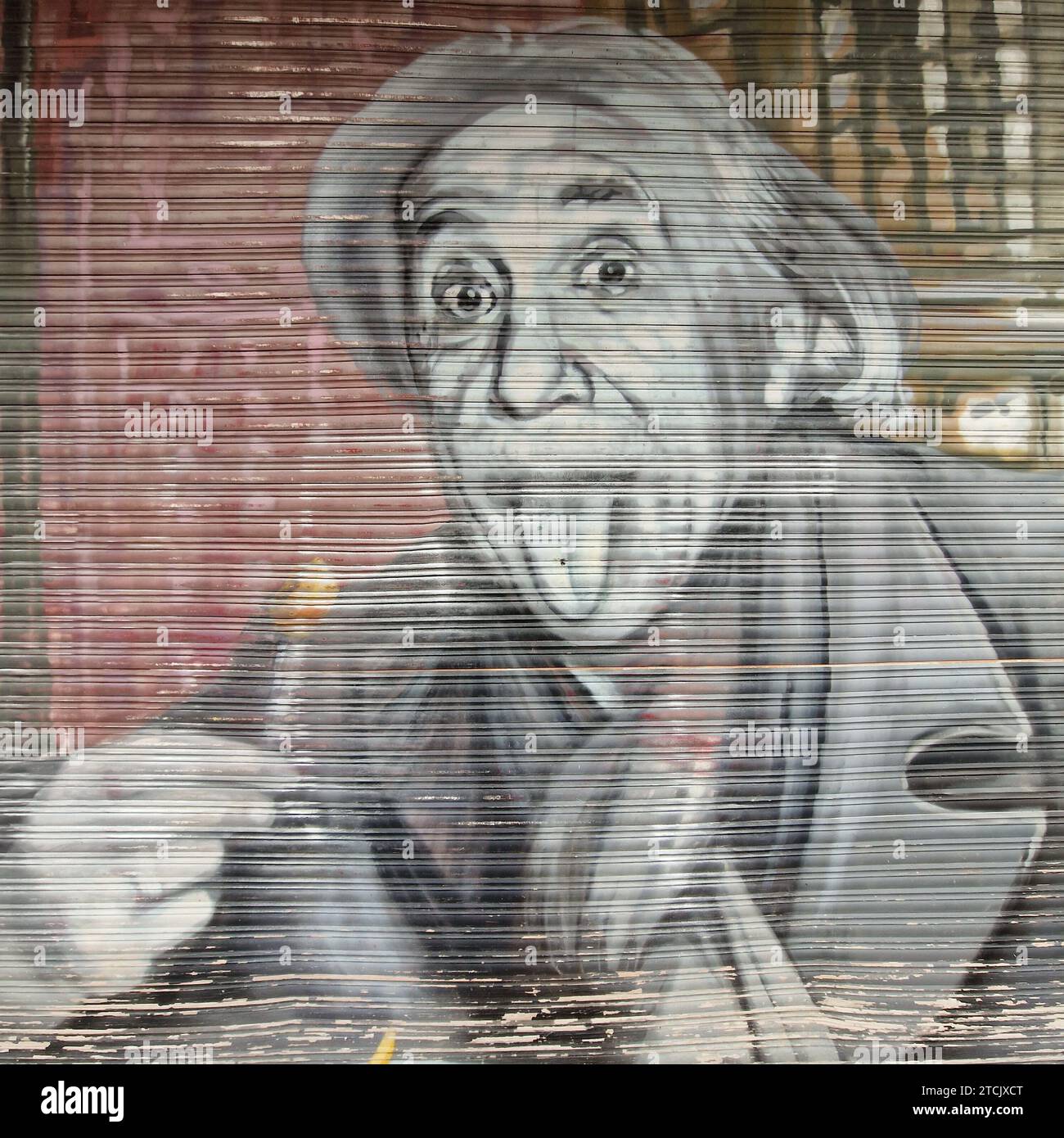 Albert Einstein, Painting on a metal curtain, Prenzlauerberg district, Berlin, Brandenburg, Germany Stock Photo