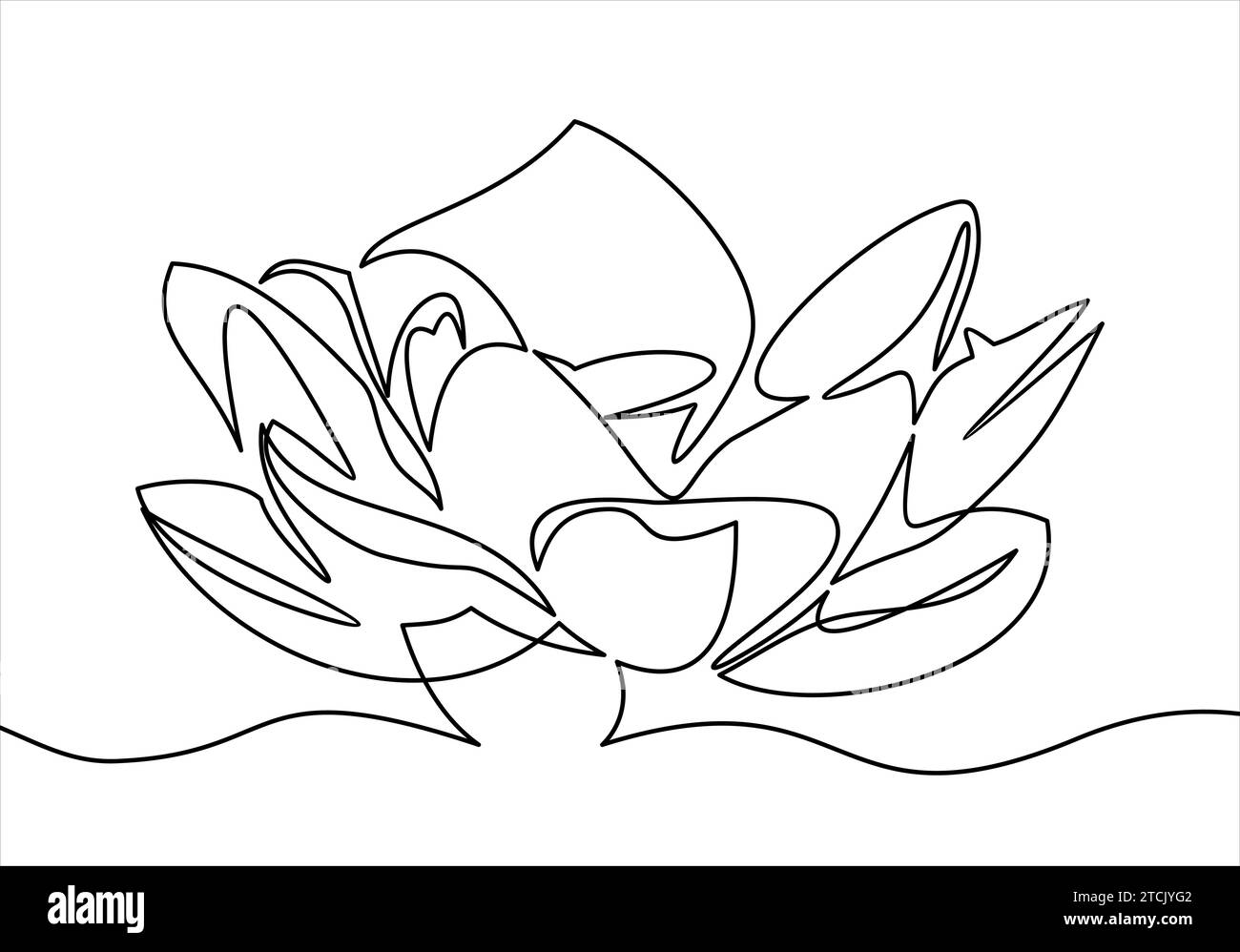 Hand drawn orchid flowers. One line drawing. illustration Stock Vector