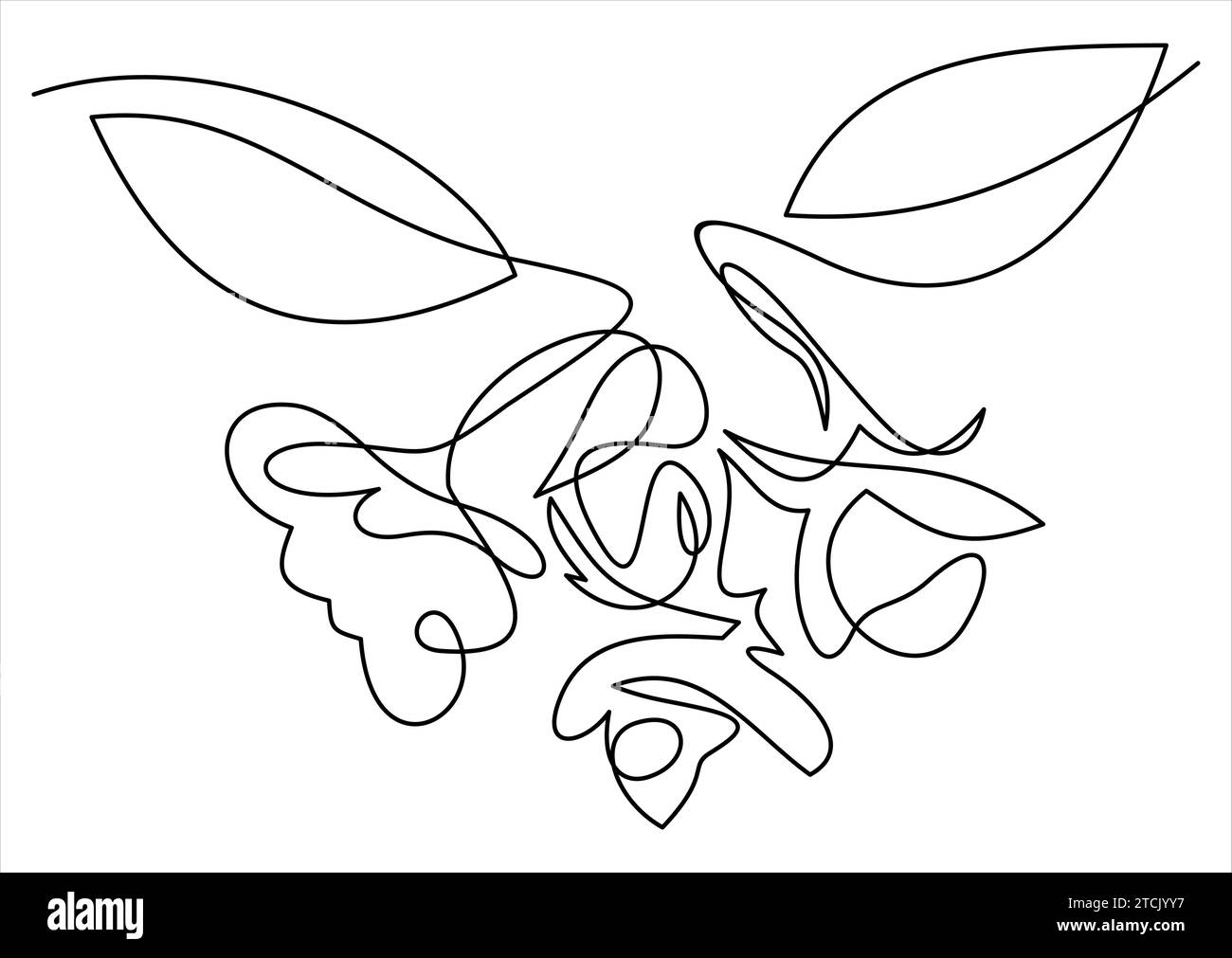 Hand drawn orchid flowers. One line drawing. illustration Stock Vector
