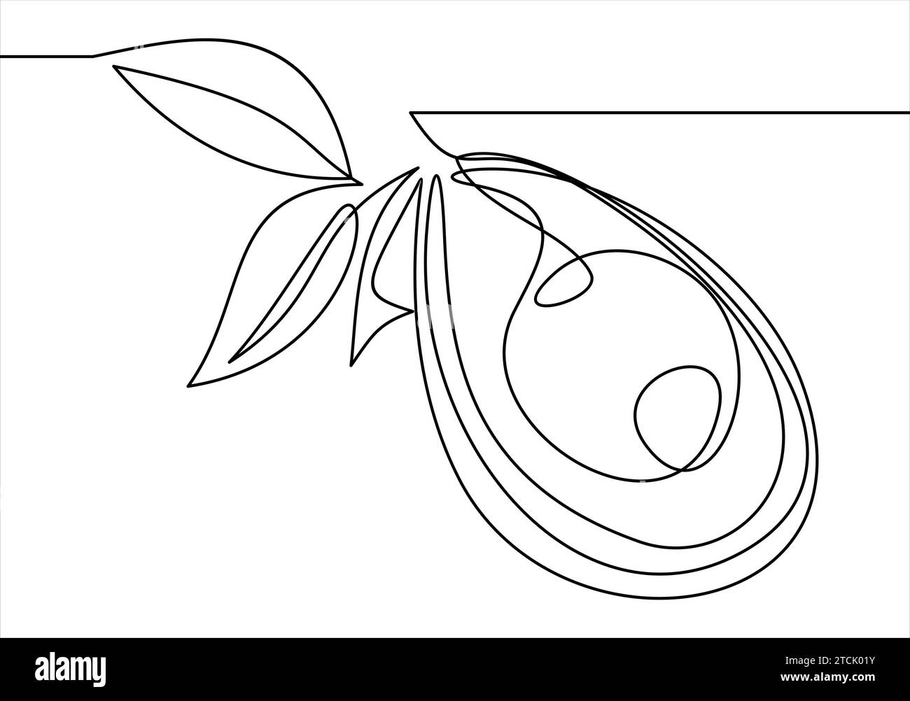 Continuous line drawing of avocado. illustration Stock Vector