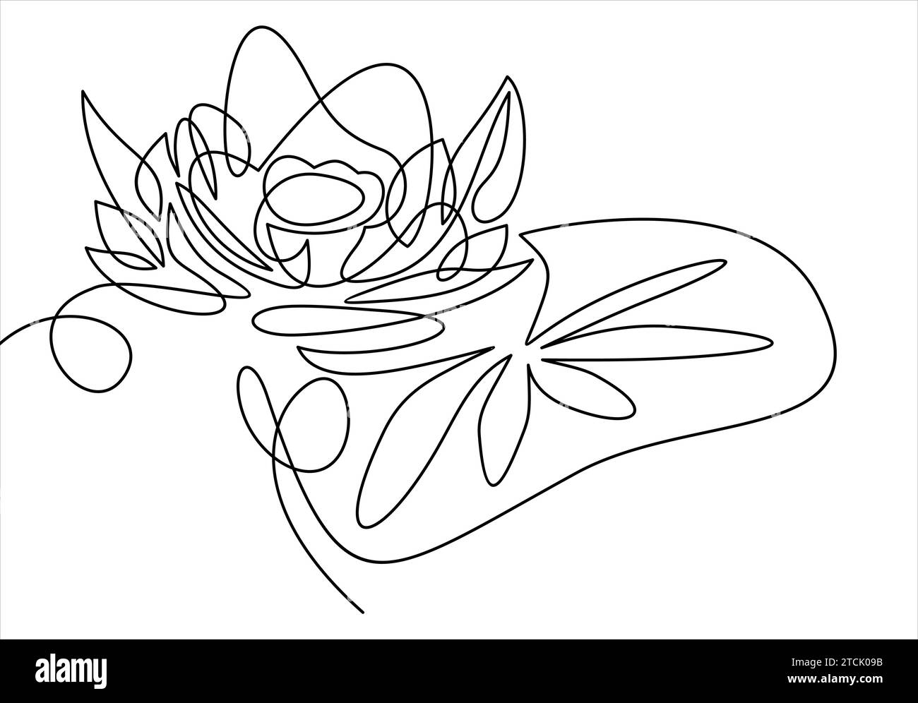 Flower Lotus Continuous Line Vector Illustration Stock Vector Image