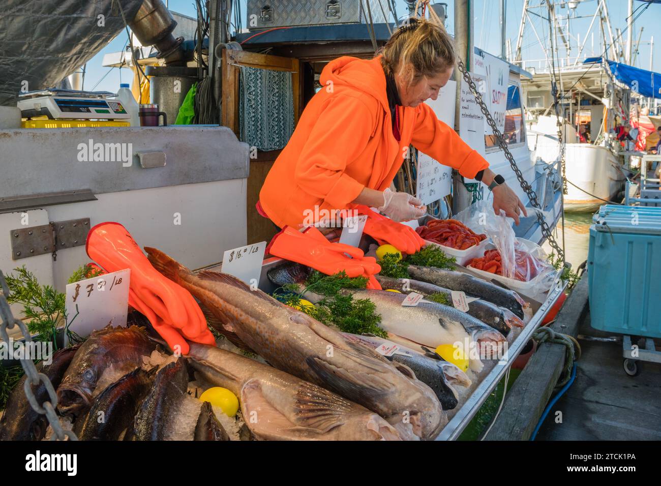 Steveston, Vancouver, BC, Canada-October 7, 2023: Fishermen selling fresh fish from their boats at the public fish market. Stock Photo