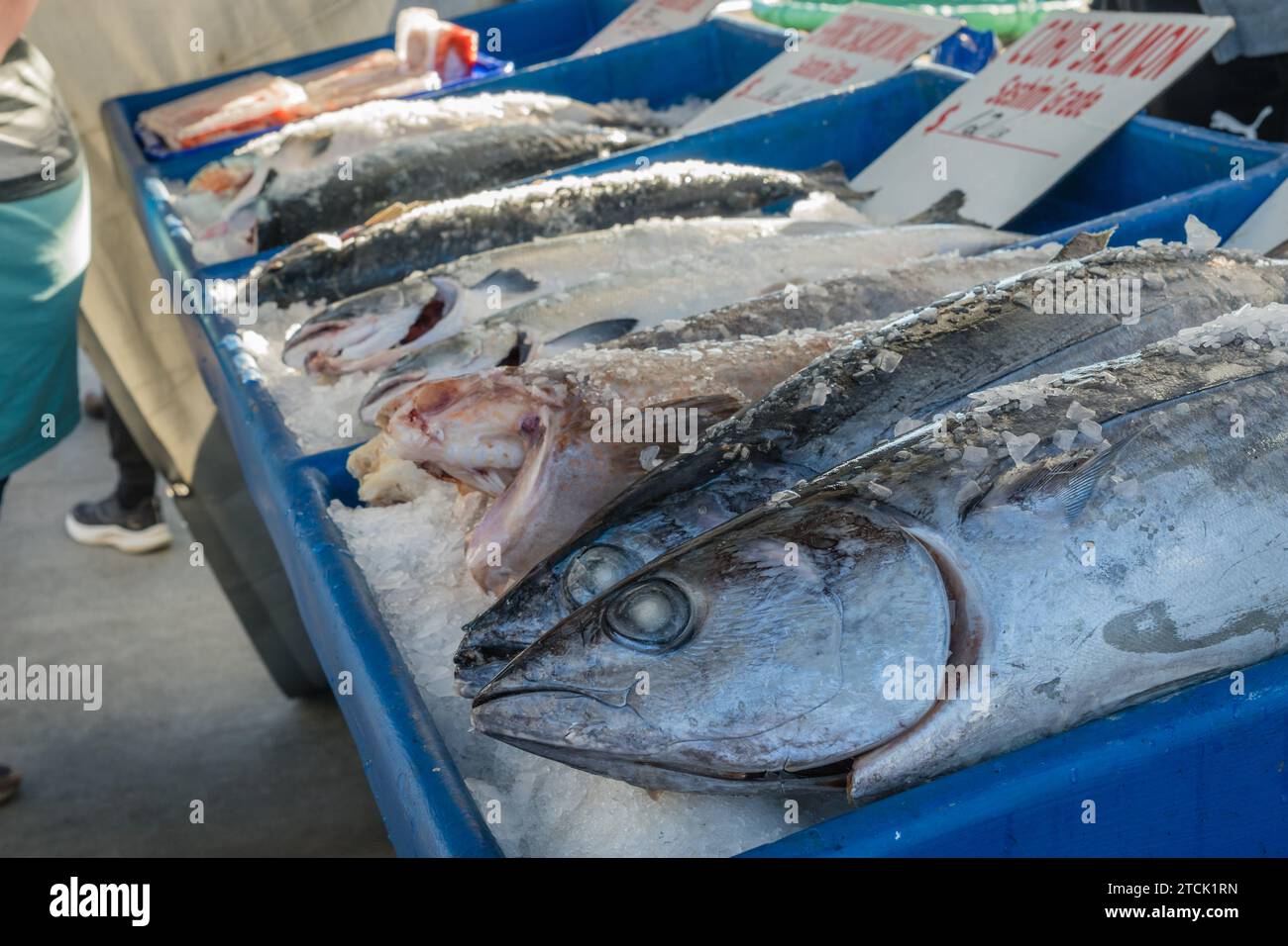 Fresh fish for sale at fish market Stock Photo Alamy