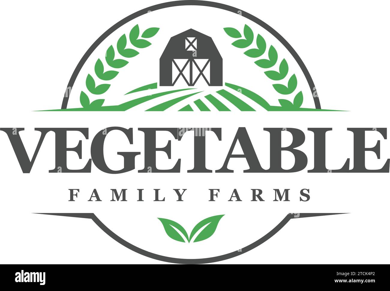 Modern colorful VEGETAVLE family farm logo design Stock Vector Image