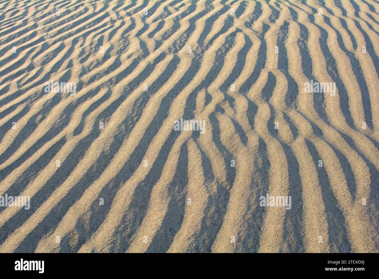 Close-up of ripples in the sand Stock Photo