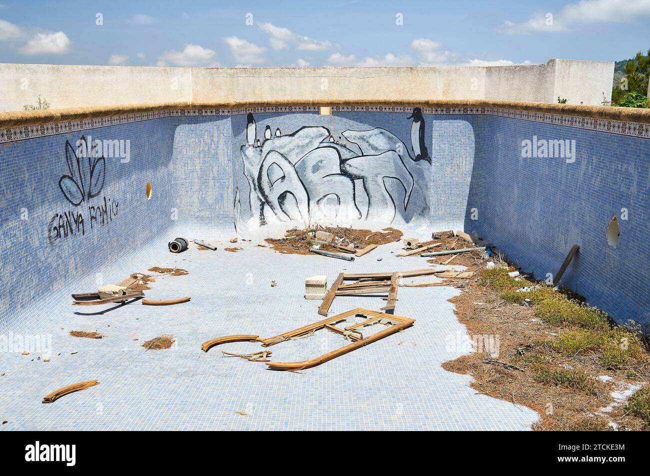 Empty swimming pool hi-res stock photography and images - Alamy