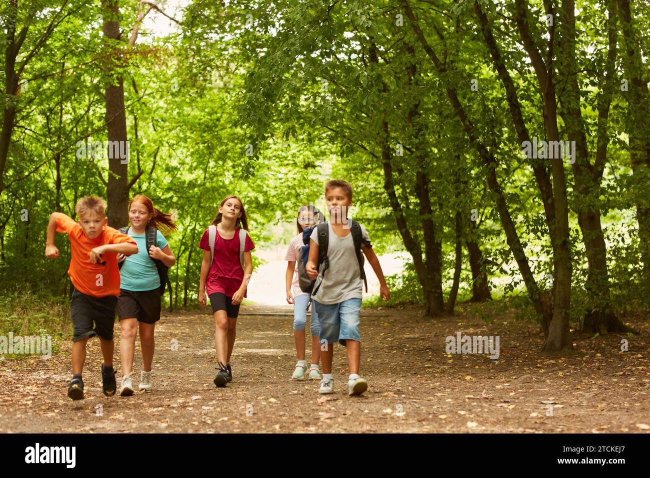 Male and female friends walking on footpath while exploring forest Stock Photo
