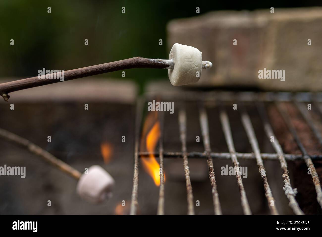 Marshmallows on a stick above open flame Stock Photo