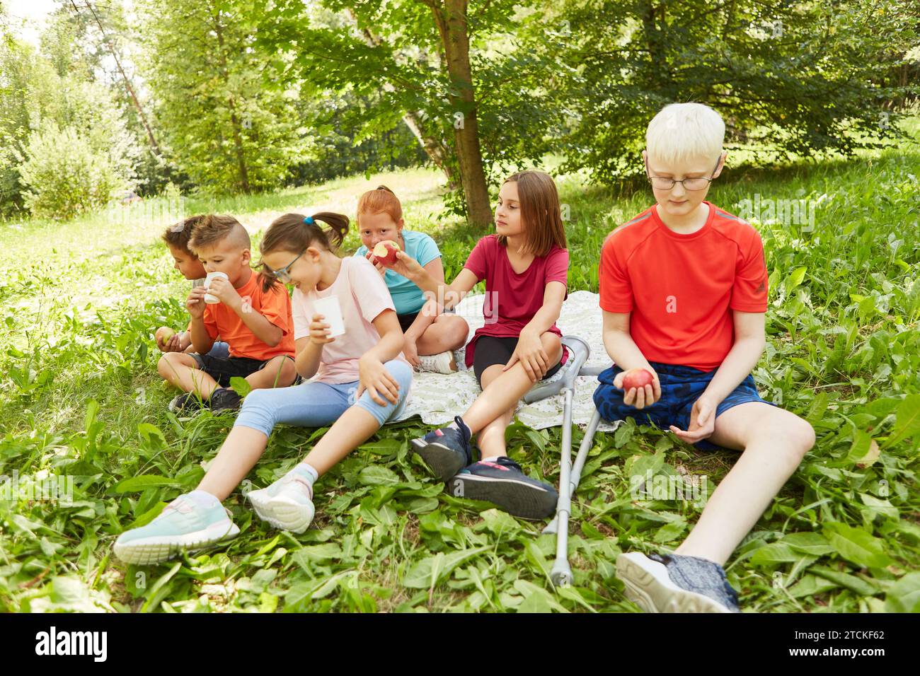 Kids having apple and drinks while sitting on blanket at park Stock Photo