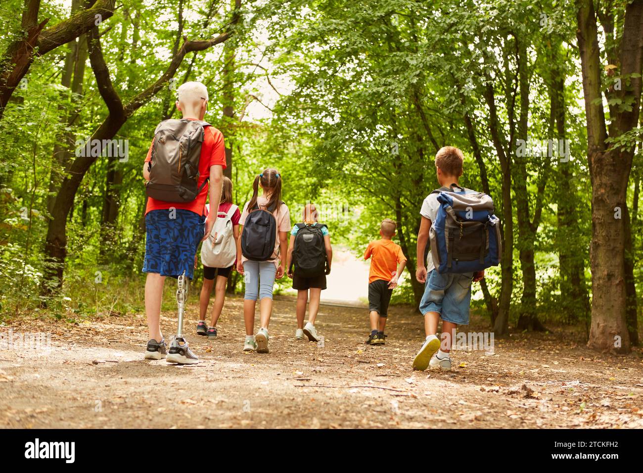 Rear view full length of kids exploring forest while waking on path Stock Photo