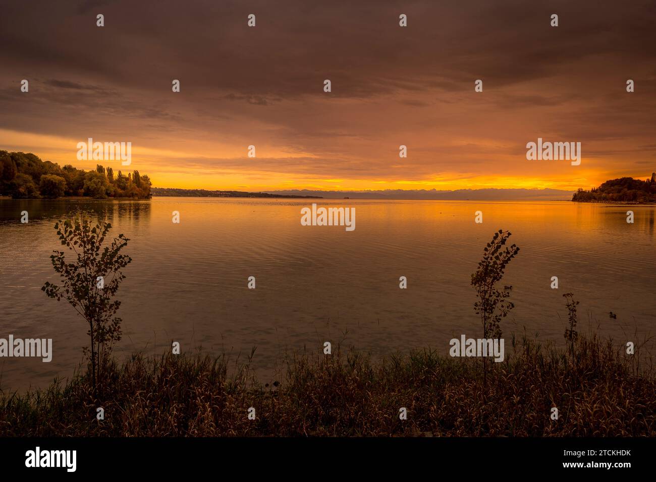 Lake constance, Bodensee in the golden hour at sunrise, germany Stock ...