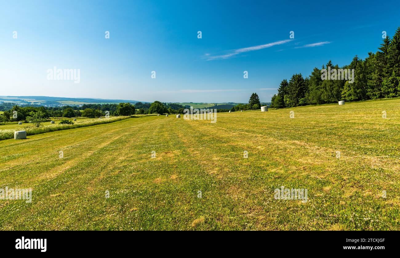 Summer rolling landscape with meadows, haystacks, forests and blue sky ...