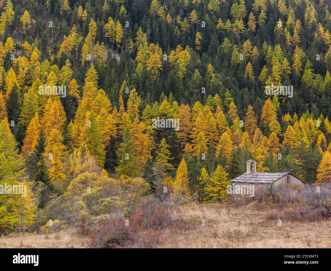 France. Region of Provence-Alpes-Côte d’Azur. Department of Hautes ...