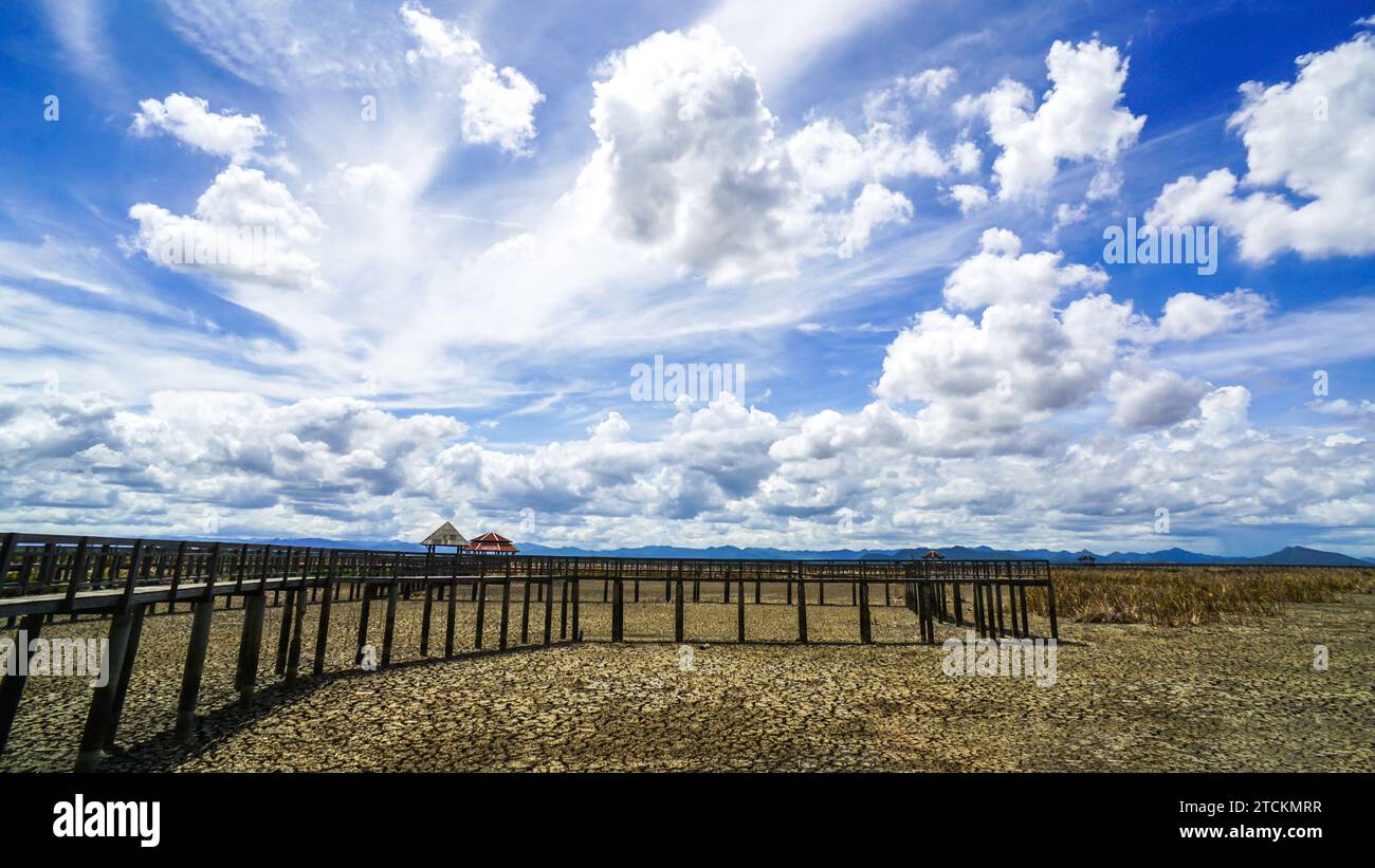 Beautiful wood walk way at Sam Roi Yot Freshwater Marsh or Bueng Bua Khao Sam Roi Yot National Park in Thailand. Boardwalk bridge. In Summer the groun Stock Photo