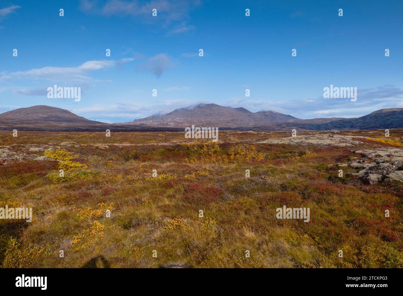 Iceland, Golden Circle, Thingvellir National Park in Autumn colours ...