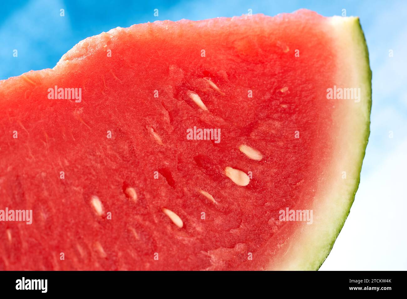 red juicy watermelon on a blue background Stock Photo