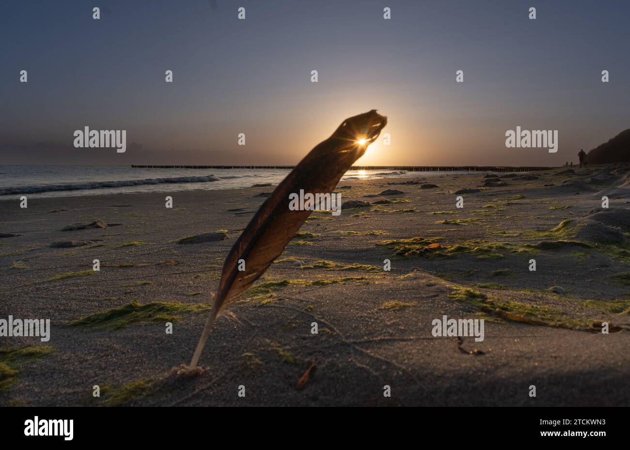 Am strand von koserow hi-res stock photography and images - Alamy