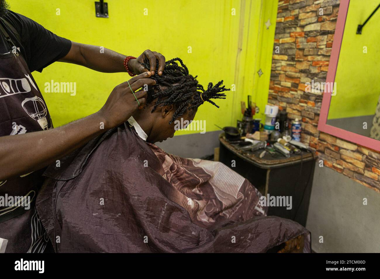 A barber fixes his client's braids inside his barbershop. Stock Photo