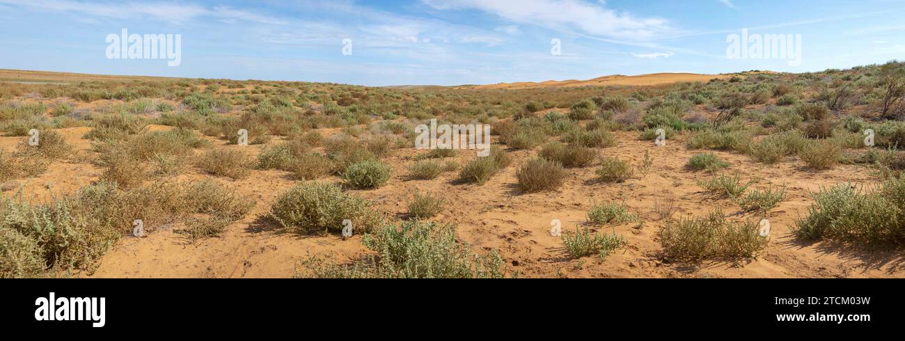 Panorama of the semi-desert 'Black Lands'. Republic of Kalmykia, Russia Stock Photo