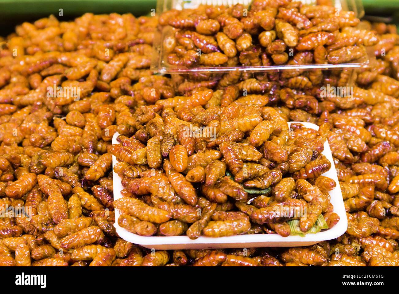 Exotic Asian food. Thai ancient cuisine. Fried insect larvae (mostly pruner, wood engraver) Stock Photo