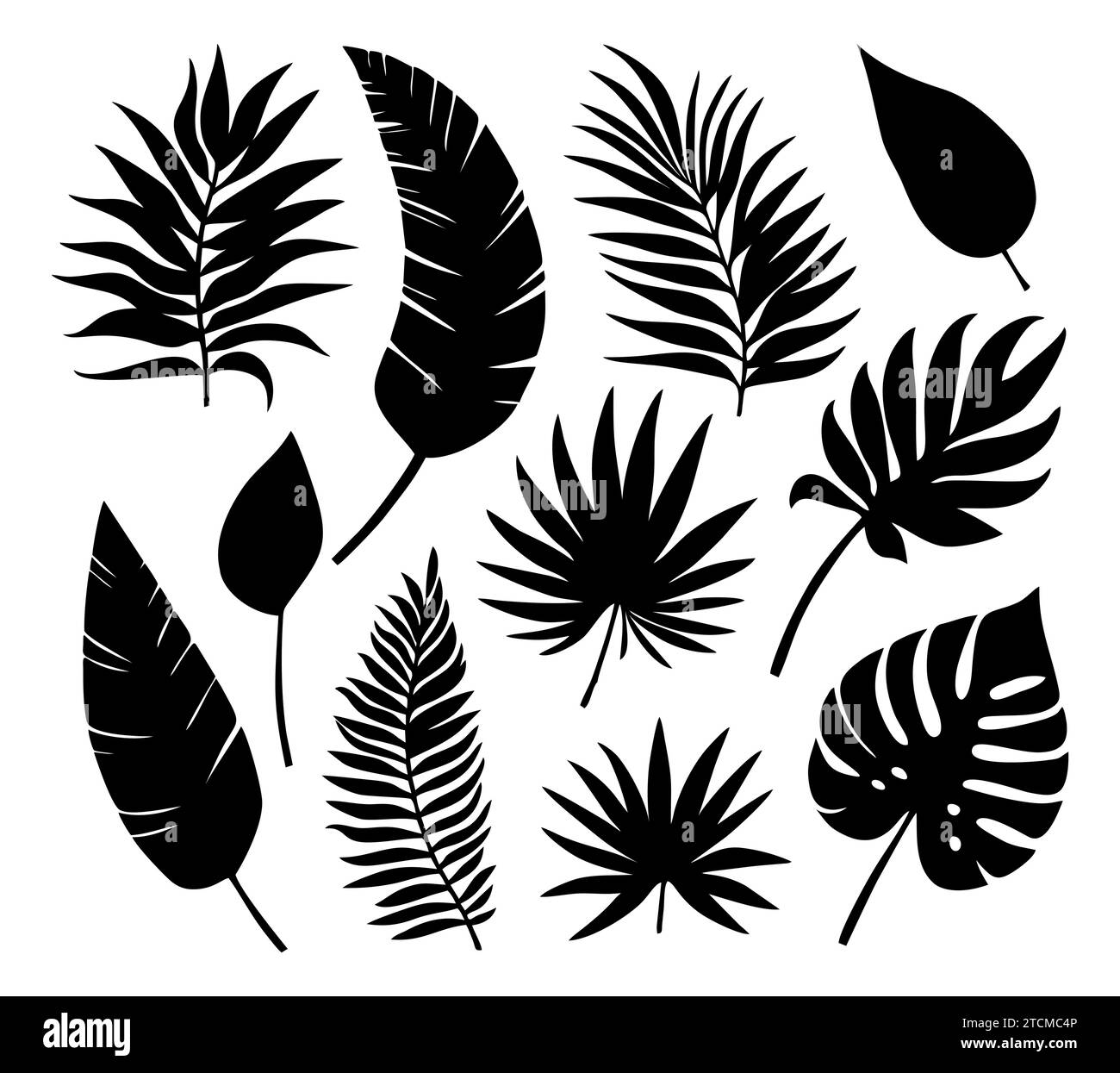 Set of tropical leaves in silhouettes. Different leaf collection. Jungle forest flora. Palm, monstera, banana tree isolated on white background Stock Vector