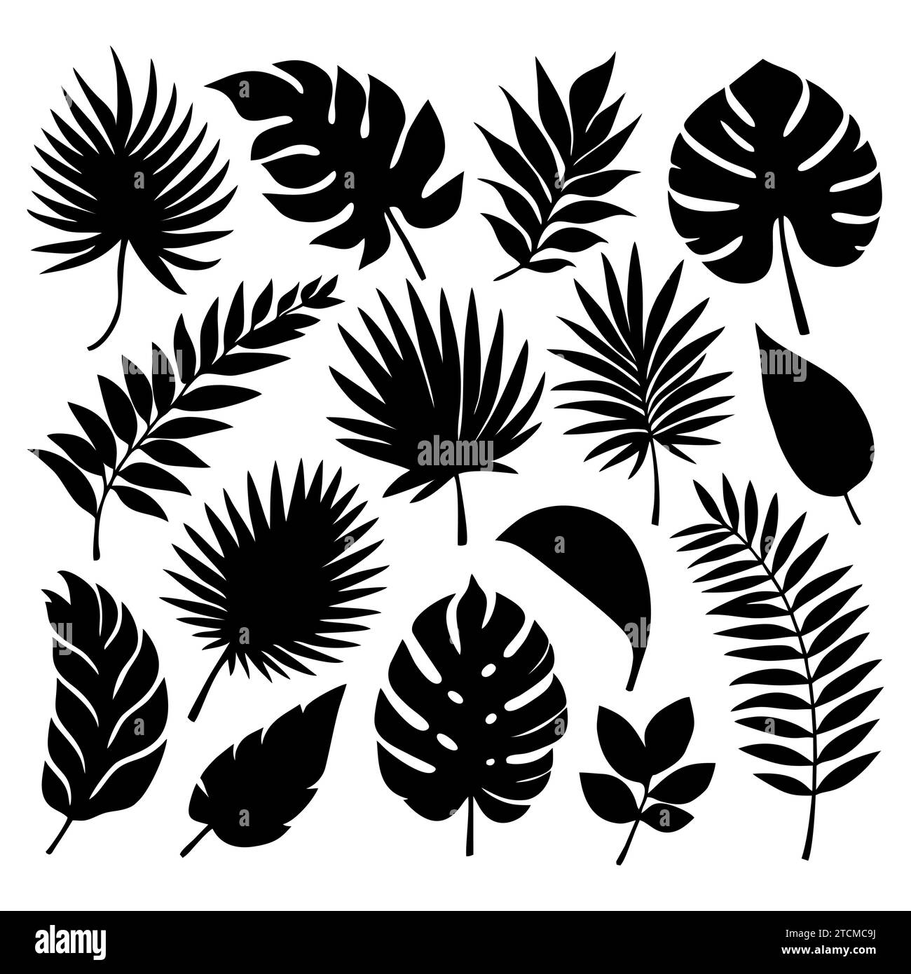 Set of tropical leaves in silhouettes. Different leaf collection. Jungle forest flora. Palm, monstera, banana tree isolated on white background Stock Vector
