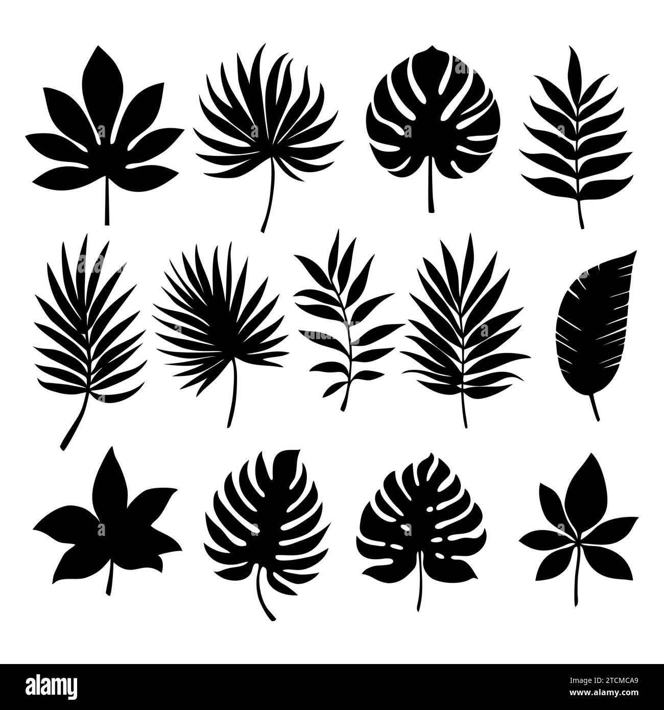 Set of tropical leaves in silhouettes. Different leaf collection. Jungle forest flora. Palm, monstera, banana tree isolated on white background Stock Vector