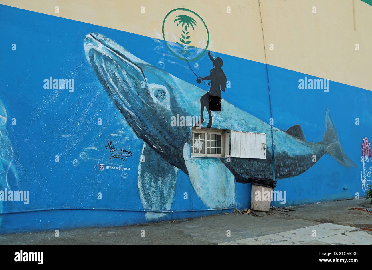Central Fish Market at the Red Sea port of Jeddah in Saudi Arabia Stock Photo Alamy