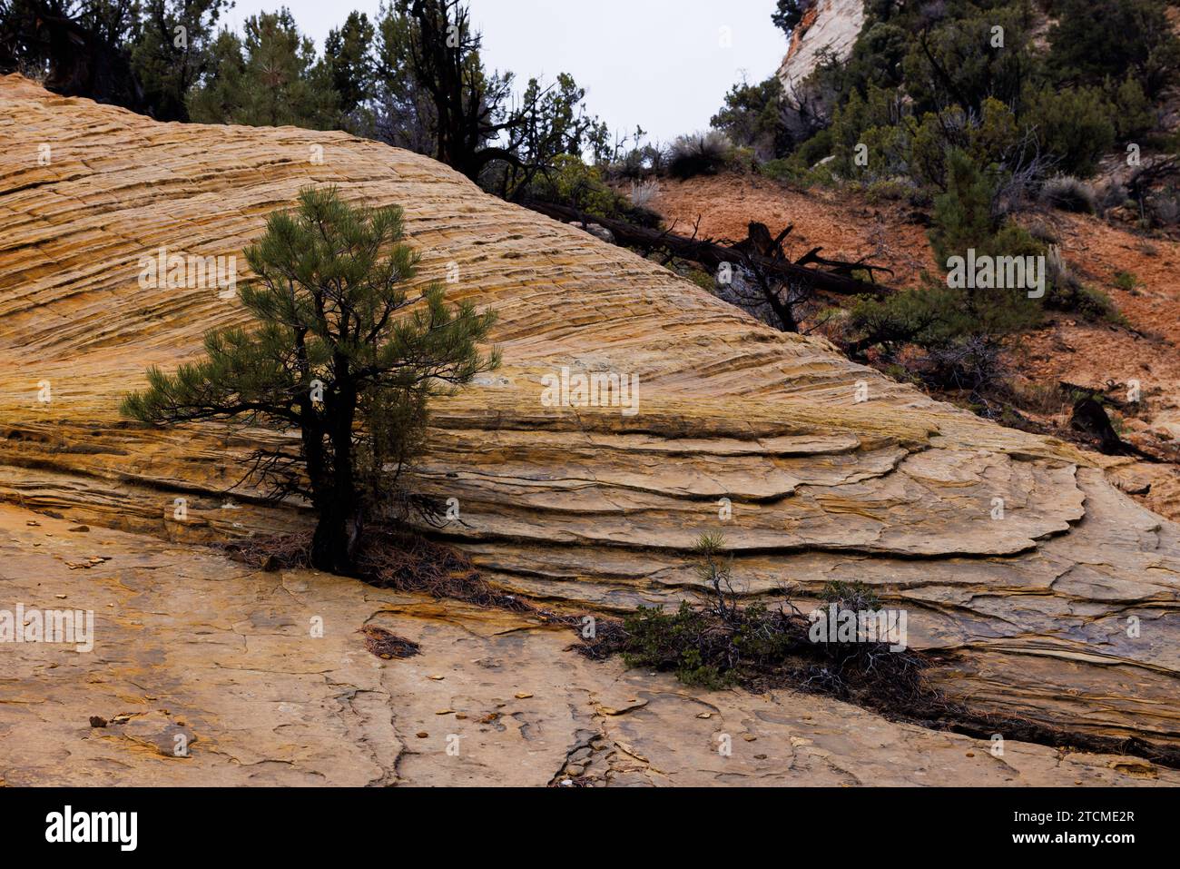 Luberon national park hi-res stock photography and images - Alamy