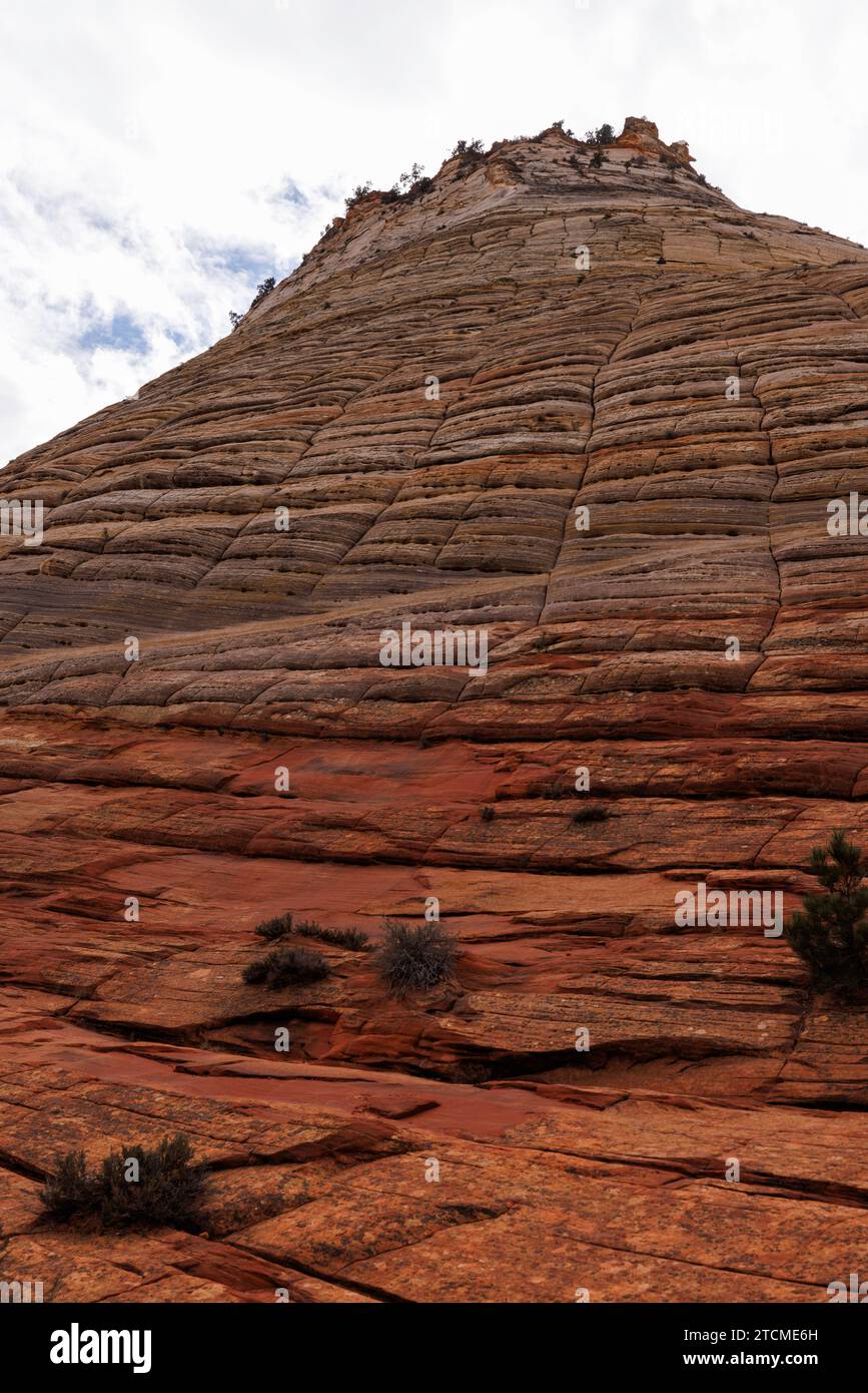 Checkerboard formation hi-res stock photography and images - Alamy