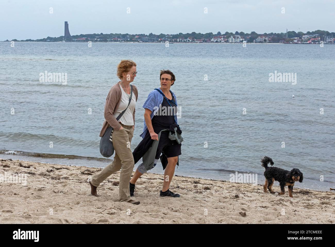 Two women with dog, Falckenstein beach, Baltic Sea, Laboe, Kieler Förde, Kiel, Schleswig-Holstein, Germany Stock Photo