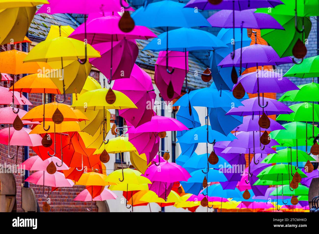 Art installation of multiple coloured umbrellas hanging over a street in Durham, England Stock Photo