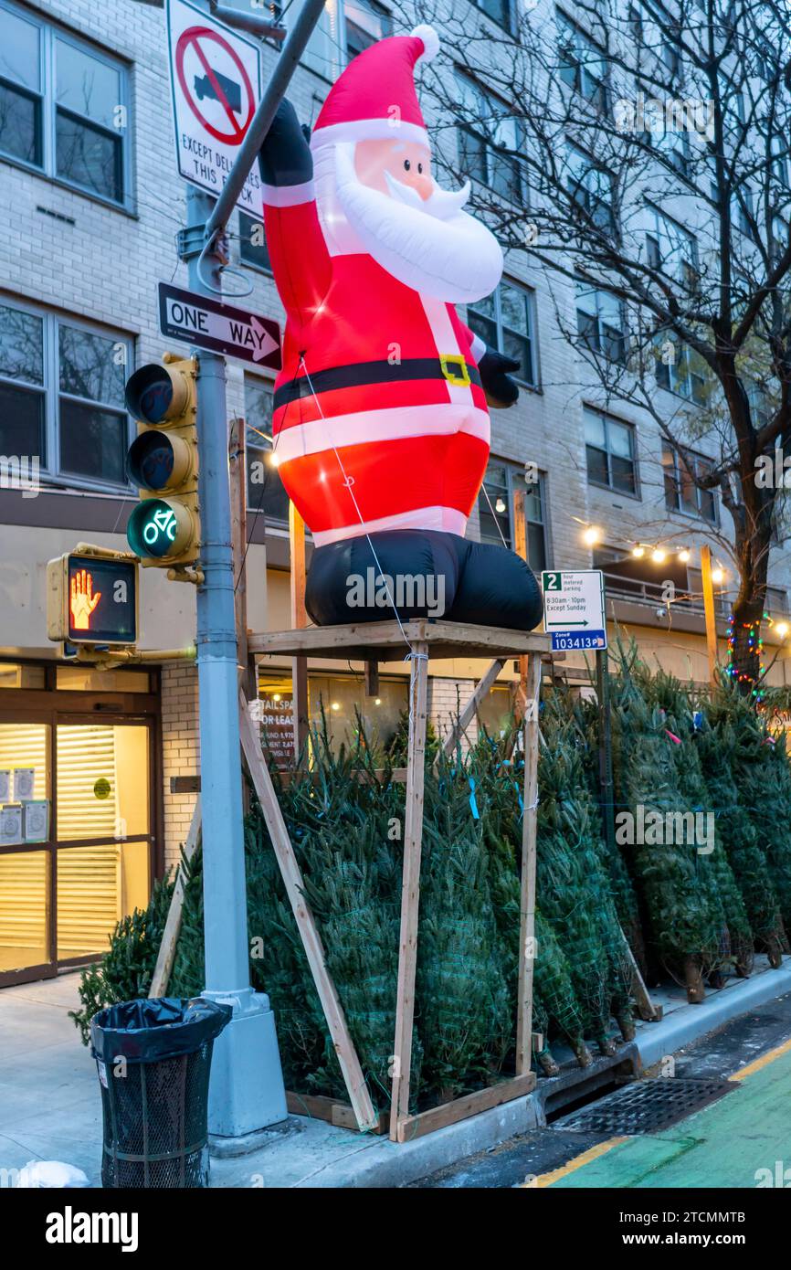 Christmas tree sellerÕs forest in the Chelsea neighborhood of New York