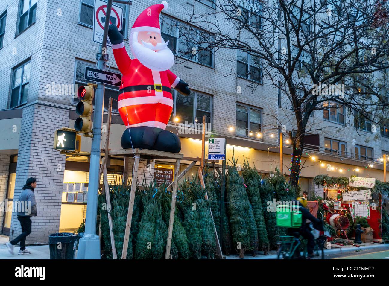Christmas tree sellerÕs forest in the Chelsea neighborhood of New York