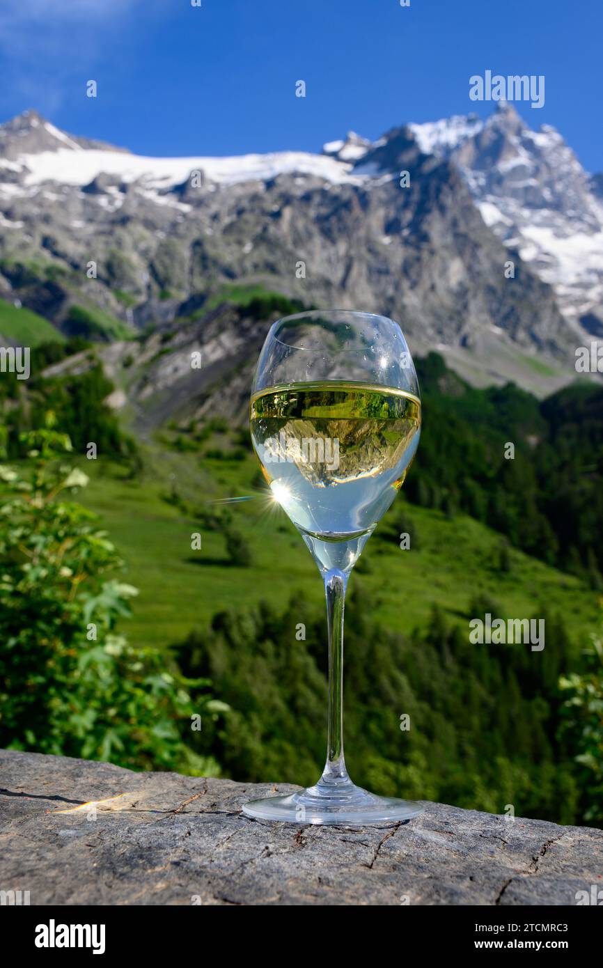 Drinking of dry white Roussette de Savoie and Vin de Savoie french wine