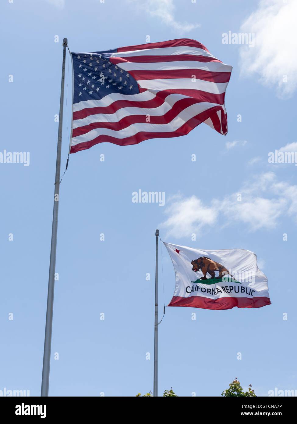 Flag of the United States and Flag of California waving in the wind and with blue sky in the background. Stock Photo