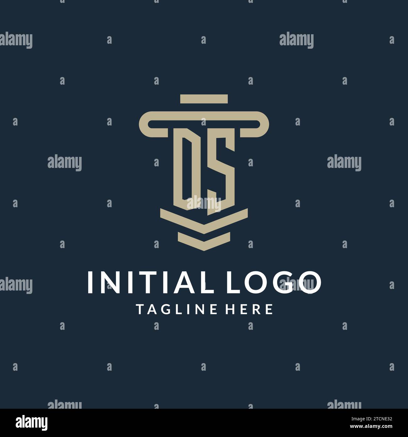 DS initial logo monogram with simple luxury pillar line vector design ideas Stock Vector