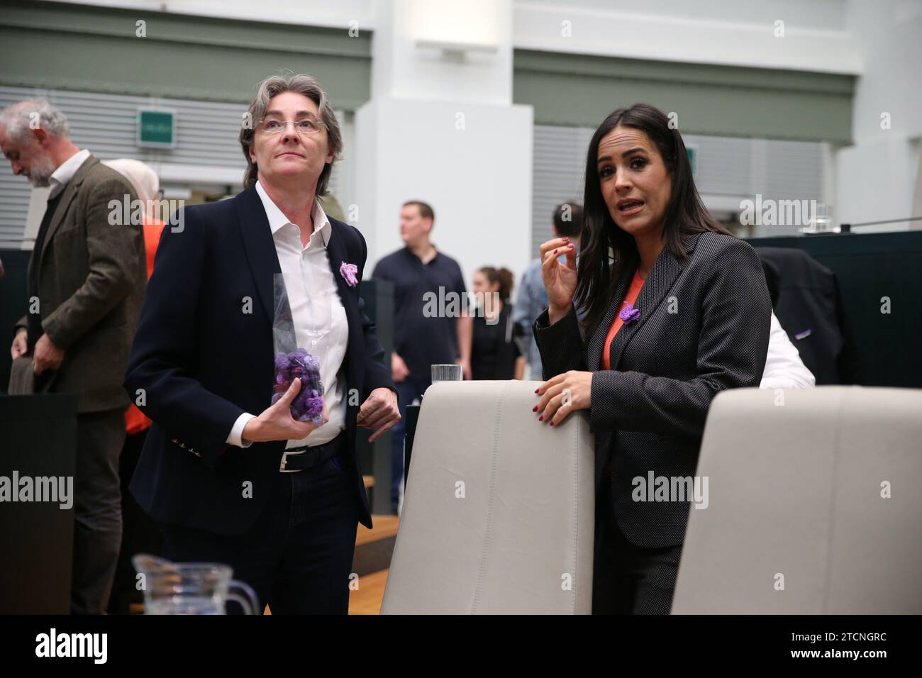 Madrid, 02/25/2020. Plenary session of the Madrid City Council with Martínez Almeida, Begoña Villacís, Rita Maestre, Pepu Hernández, Marta Higueras and Andrea Levy. Photo: Jaime García. ARCHDC. Credit: Album / Archivo ABC / Jaime García Stock Photo