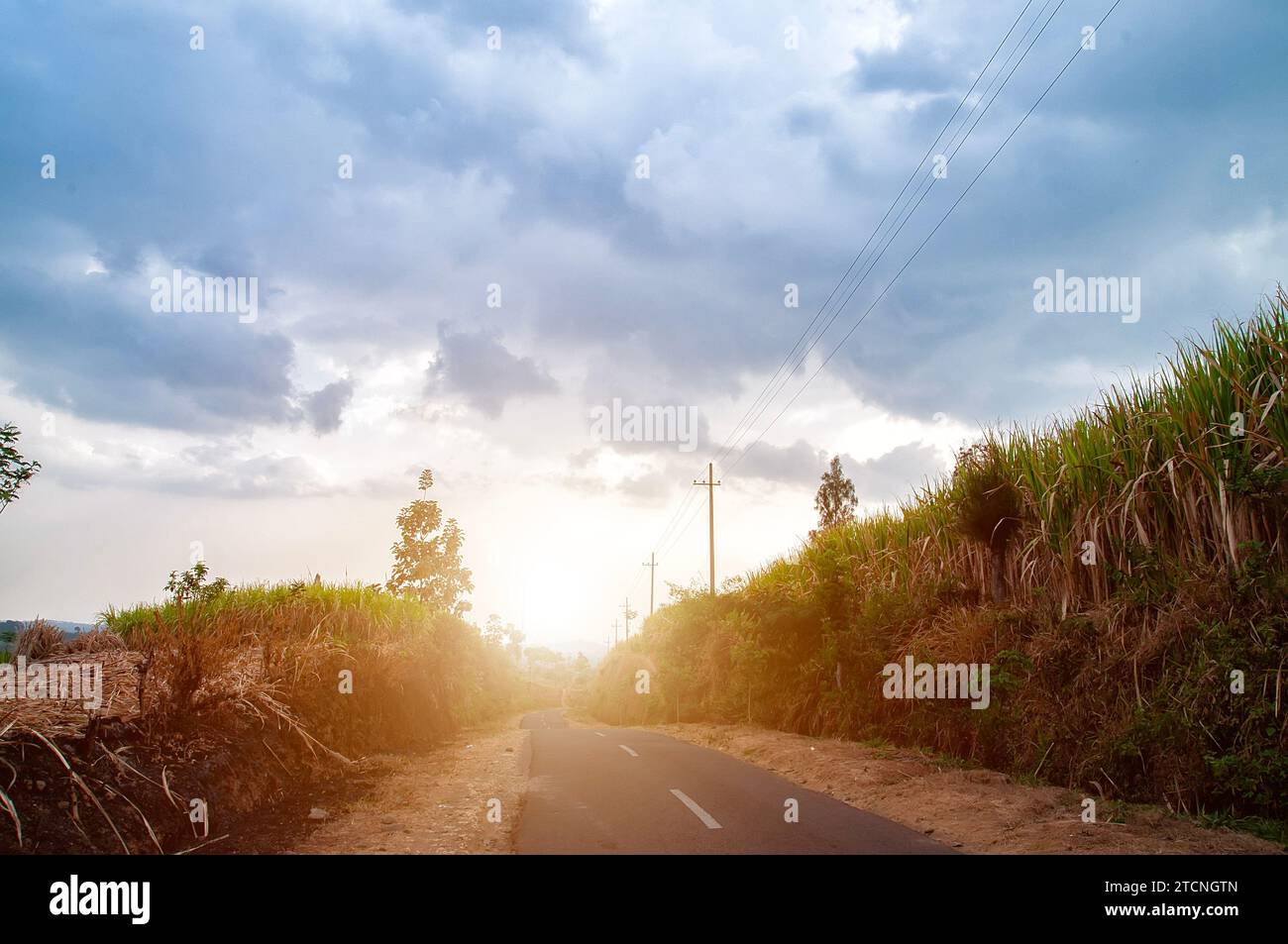 The road goes straight uphill between two cliffs Stock Photo