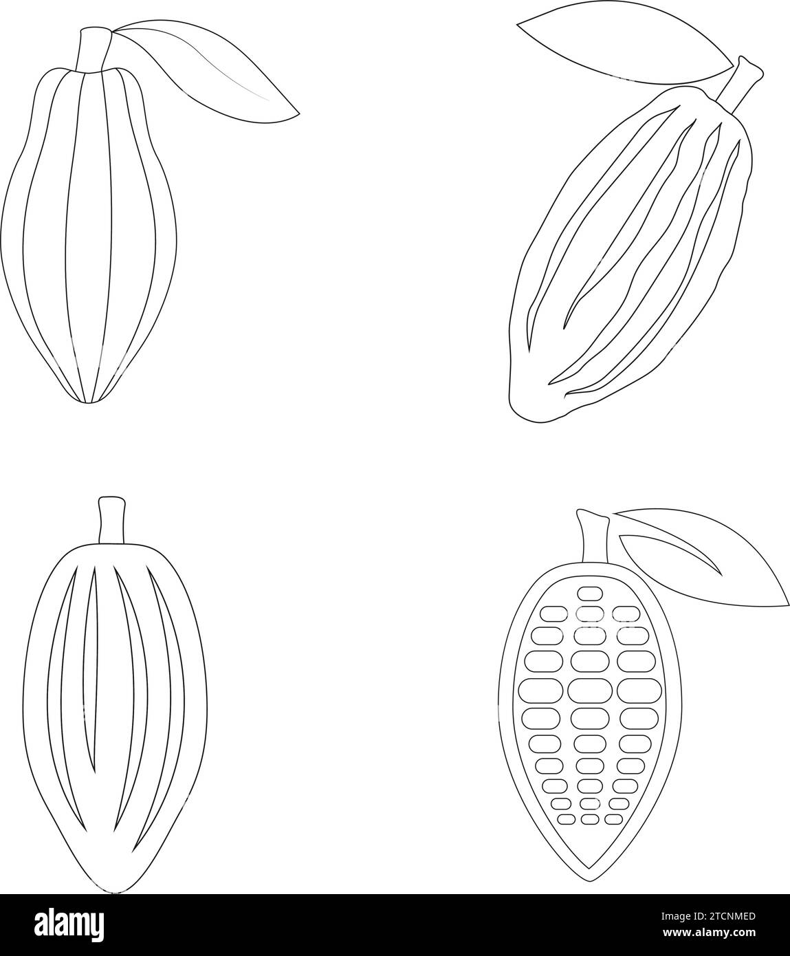 cacao icon vector illustration design Stock Vector